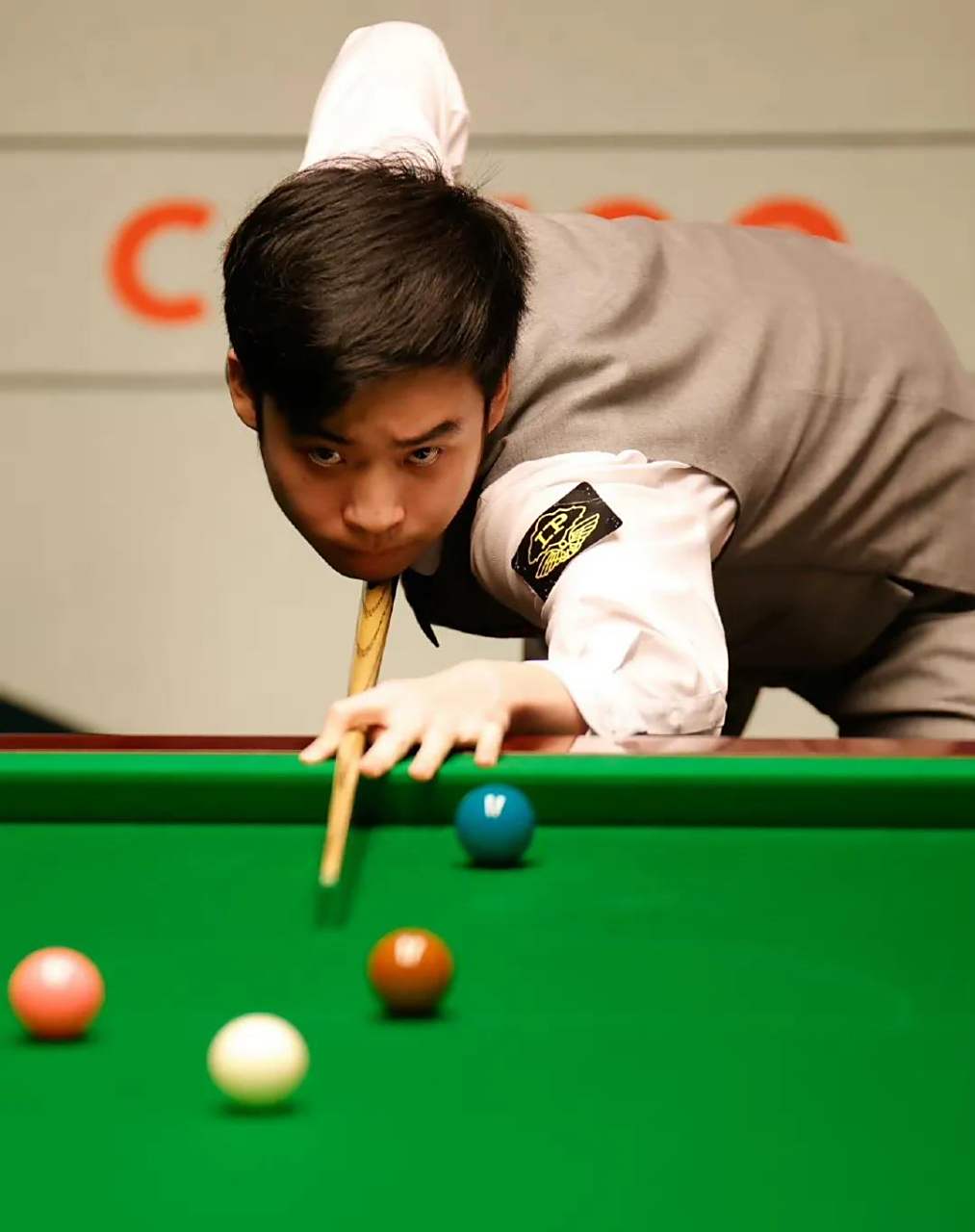 由此对照 由此对照